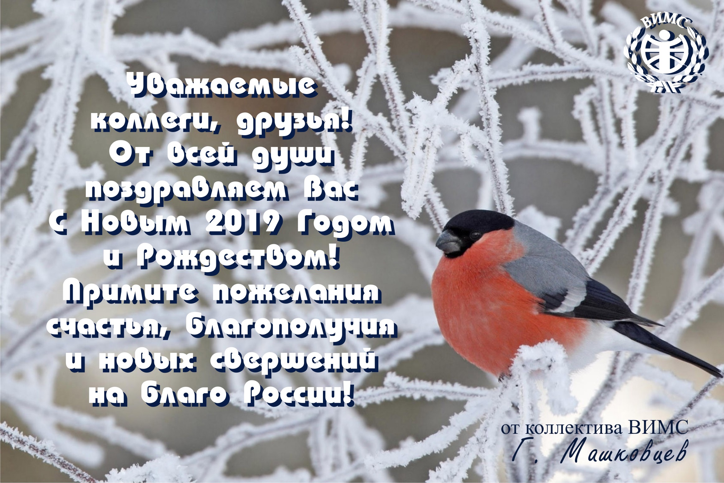 НОВОСТИ - Поздравления с наступающим новым 2019 годом!